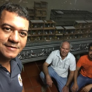 Criatório Curió do Neto